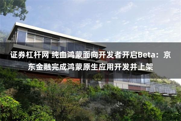 证券杠杆网 纯血鸿蒙面向开发者开启Beta：京东金融完成鸿蒙原生应用开发并上架