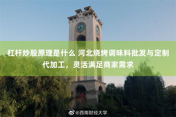 杠杆炒股原理是什么 河北烧烤调味料批发与定制代加工，灵活满足商家需求