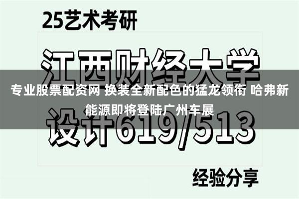 专业股票配资网 换装全新配色的猛龙领衔 哈弗新能源即将登陆广州车展