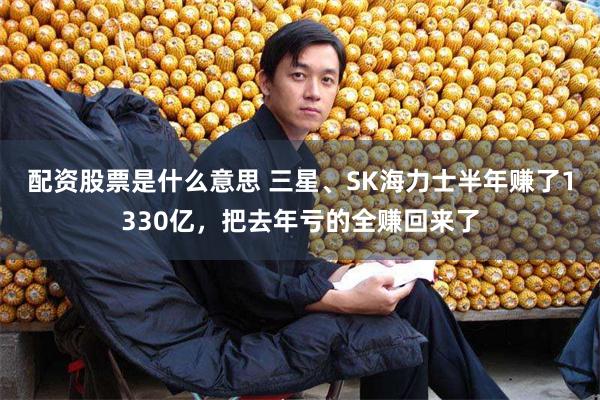 配资股票是什么意思 三星、SK海力士半年赚了1330亿，把去年亏的全赚回来了