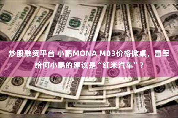 炒股融资平台 小鹏MONA M03价格掀桌，雷军给何小鹏的建议是“红米汽车”？