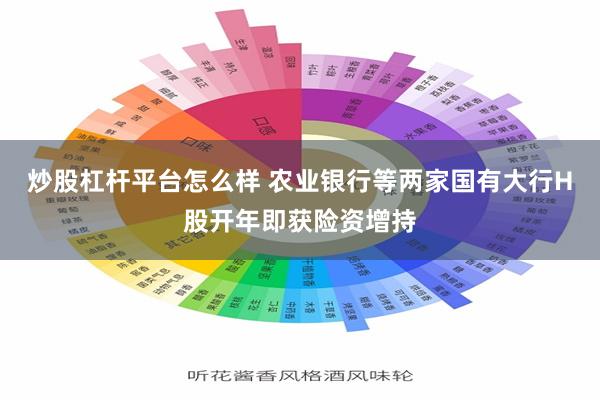 炒股杠杆平台怎么样 农业银行等两家国有大行H股开年即获险资增持