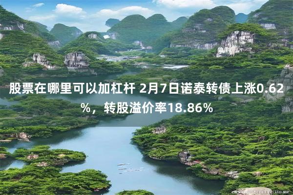 股票在哪里可以加杠杆 2月7日诺泰转债上涨0.62%，转股溢价率18.86%