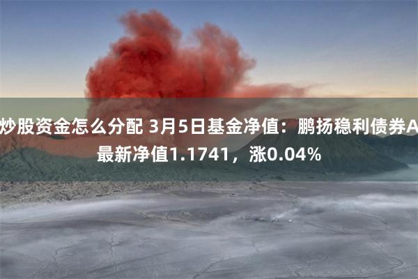 炒股资金怎么分配 3月5日基金净值：鹏扬稳利债券A最新净值1.1741，涨0.04%