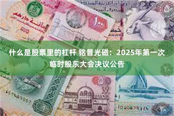 什么是股票里的杠杆 铭普光磁：2025年第一次临时股东大会决议公告